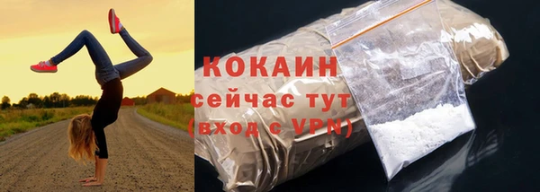 твердый Няндома